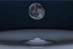 Moon-Drop_3716